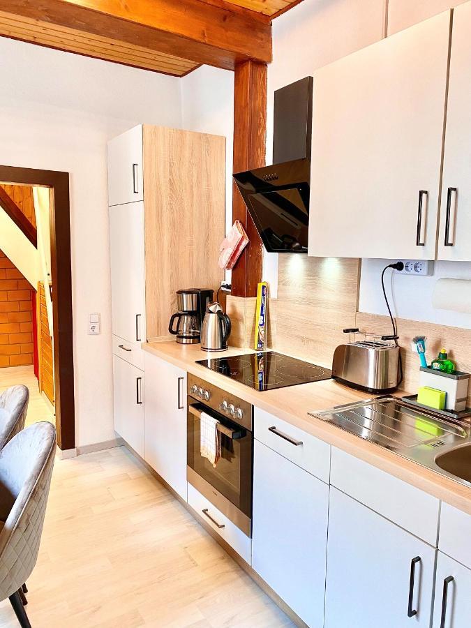 Ferienhaus Zur Abzuchtinsel 고슬라르 외부 사진